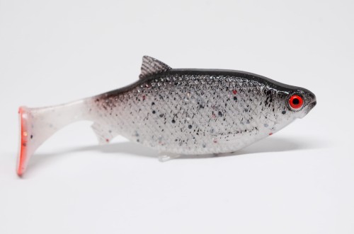 IMG_20260428_145334.jpg