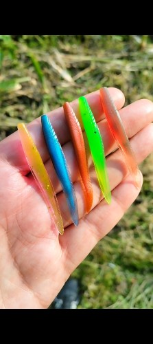 pijawki bestialbaits na okonia.jpg