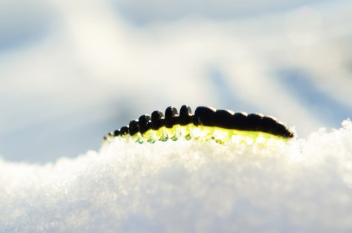 DSC_9563.jpg