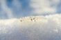 DSC_9594.jpg