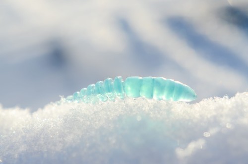 DSC_9575.jpg