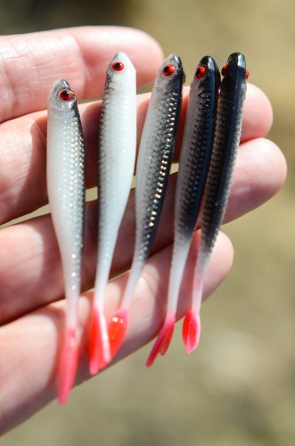 bebok bestialbaits.jpg