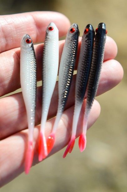 bebok bestialbaits.jpg