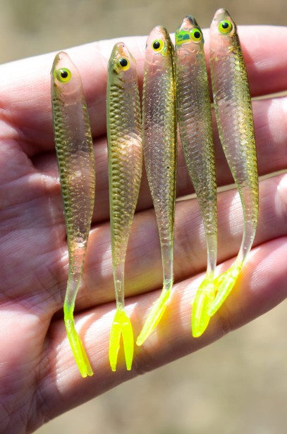 bestialbaits bebok 7,5cm.jpg