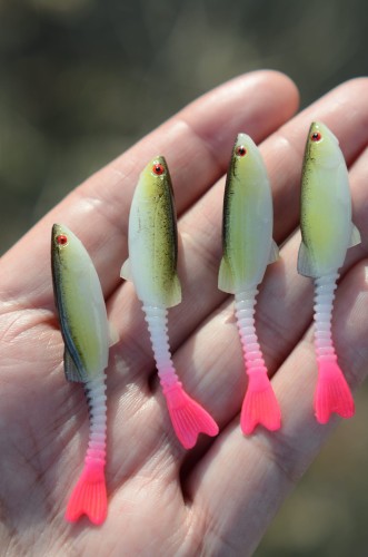 szydera bestialbaits najlepsza na okonia.JPG