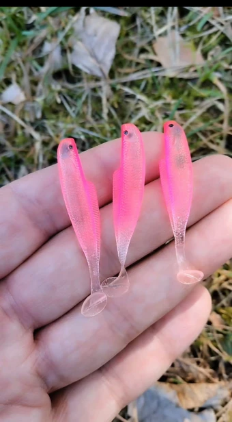 EASY PERCH NAJLEPSZA PRZYNĘTA OKONIOWA.jpg